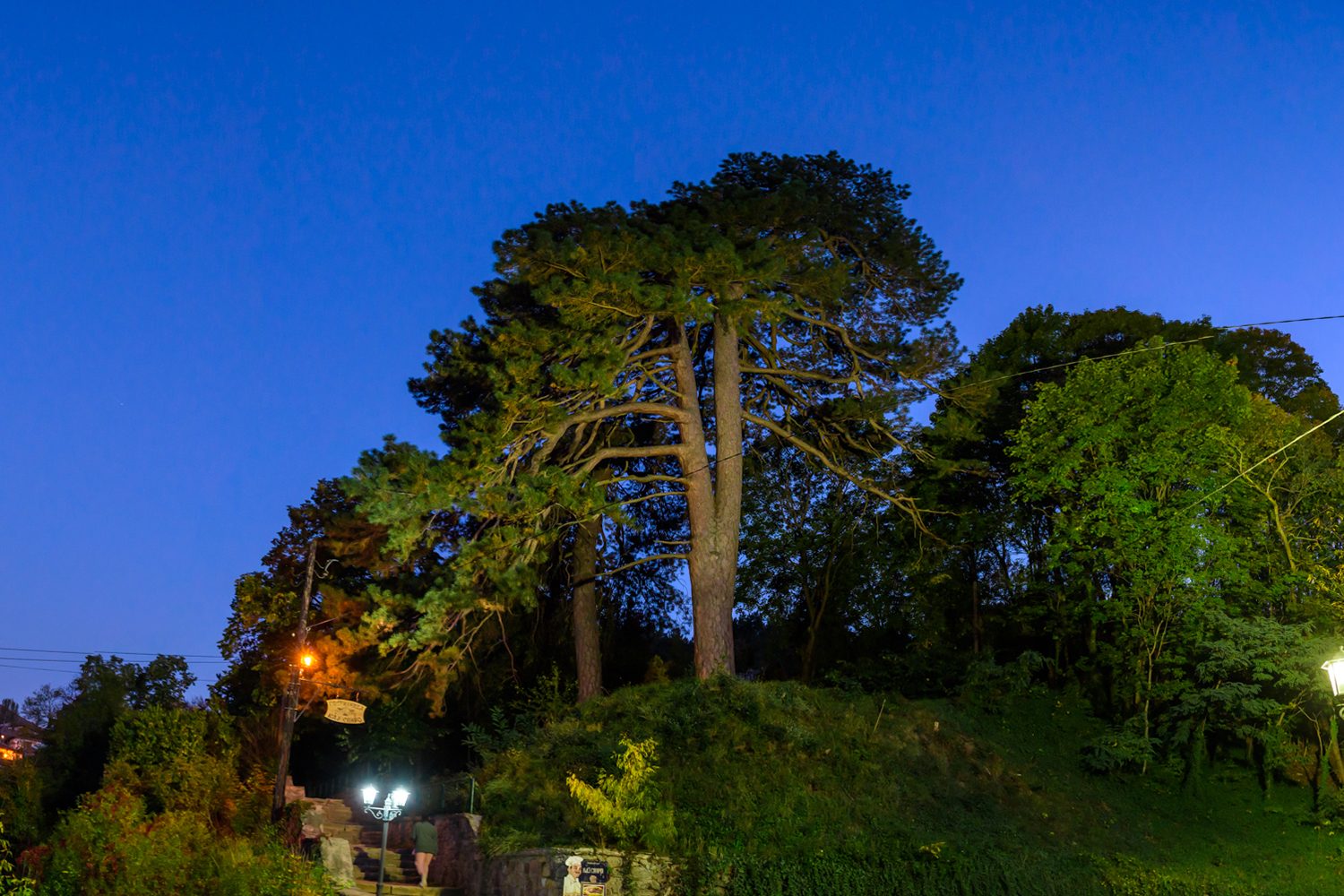 Кратовските борови